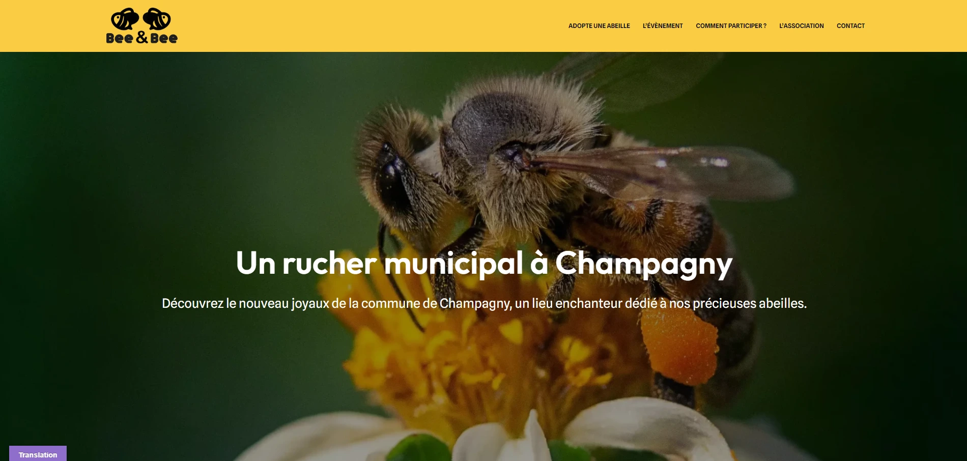 image montrant le site Bee&Bee